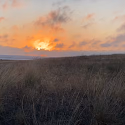 Sunset in the field