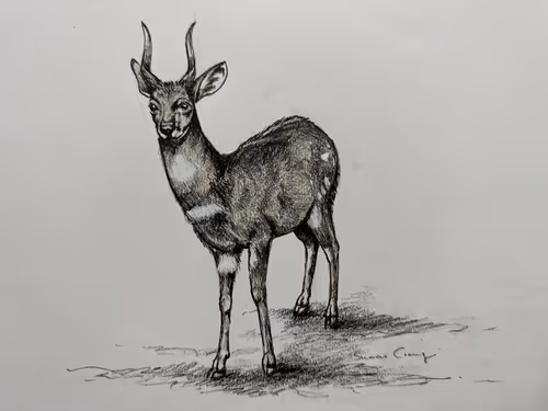 Item #4288309145407295523431116215122397111529594114986911850026632799151806480484 Media