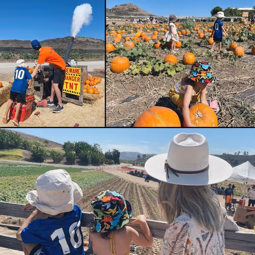 Item #62437439308456912945506612413278711304465204586047969314274856094185646194689 Media