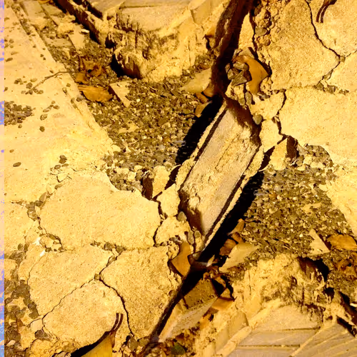 Item #86983489980507804727538311757004128201672067076815781922351967375094573957121 Media