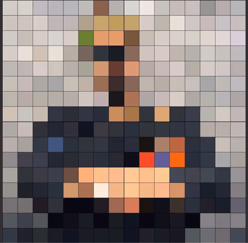 snanebot Collection