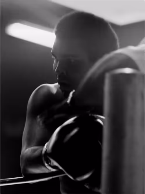 Item #57132418954837918886711585800954240595703597984635010570377711659283522781185 Media