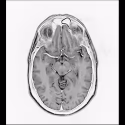 64162533542198579898252916190583583845604629893829087458582976346125854834689