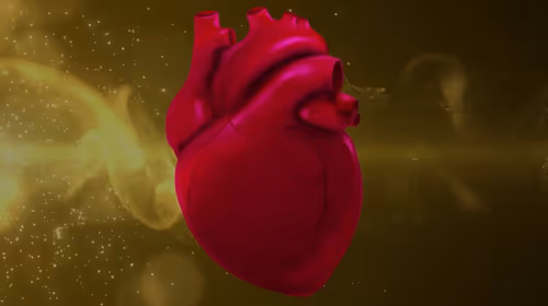 Item #97313784443921890092594032014113546778192632904741298882669336703444069646337 Media