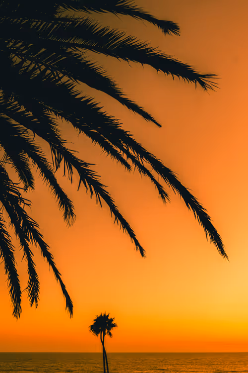 Item #35557780727049604459658880725917592814256363748111026780455796803583592103937 Media