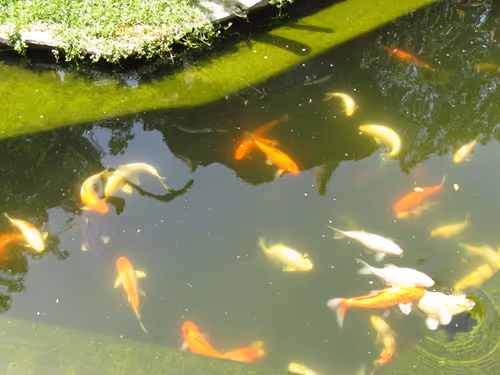 Item #49780404214023394125628081485635193078207366864253774489702248330107123924993 Media