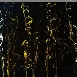 Black Dance