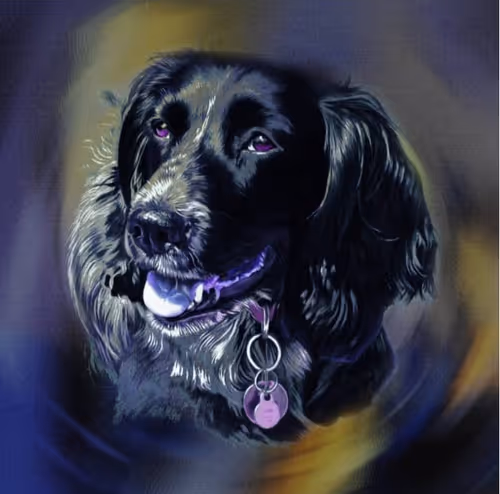 Item #44579353257770267592393689326567797940569300225389756109807807817744054747137 Media