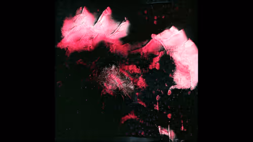 Contestant Collector-Appreciation Tokens