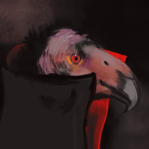 Item #6526275754820918342971321102160467526375628355023959935506408912503225450497 Media