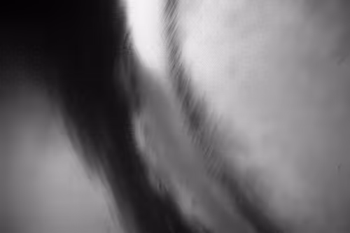 Item #95941631542737031482518403526667106778839940641490797404125491074806954590209 Media