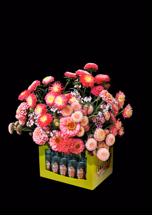 Item #56233279826731852625464699718942241058524476350895094070137452909682248122369 Media