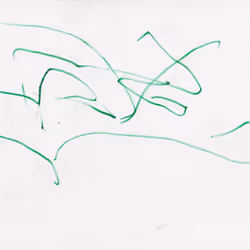 101721038735227665737120629785108519820940953856750280309536742135628359008257