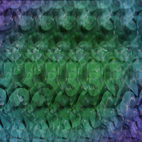 Item #76092728411292669761820485960954938626413103164708286867377734381936790470657 Media