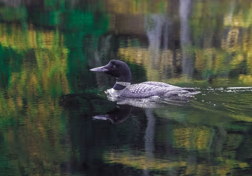 Item #78614967916850878758896281278088562819031429561597845143063368110259874824193 Media