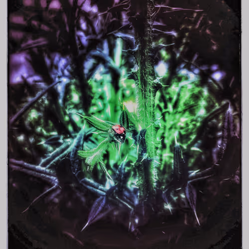 3787080761074609709675817509753112159059746763483256848434353597378826600453