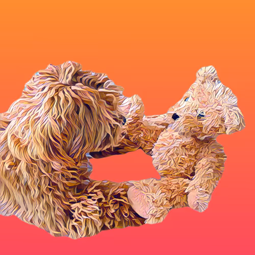 Metaversemaltipoo