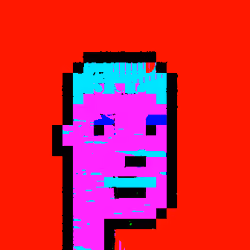 Magenta Benetta Punk