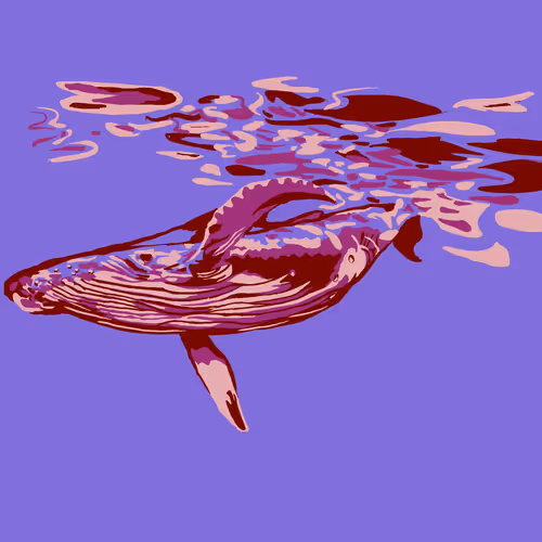 Untitled Collection #242486347 - old