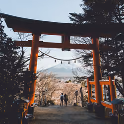 Dreams of Mt Fuji #12