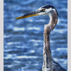 55704534837685659622621715309832868758345944585427688586690141405868250365953