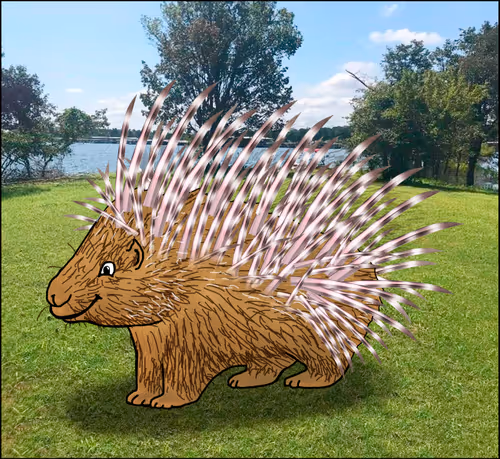 Item #39757497346721364108474336109240685337569356530407317932142356607857309253633 Media