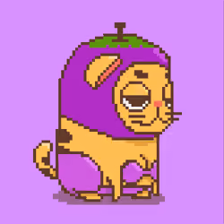 Crazy Cats Junior #00029