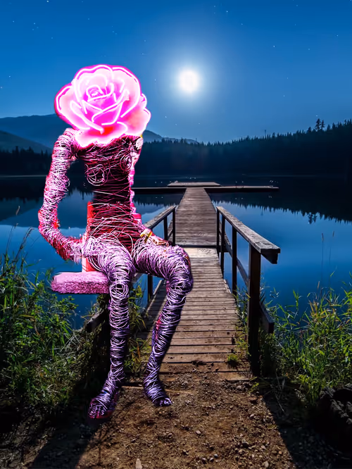 Item #9158215402507054908825871980149809166118228557761077329746695201079347380225 Media