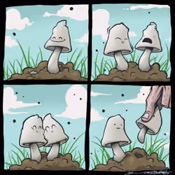 fungalFriends