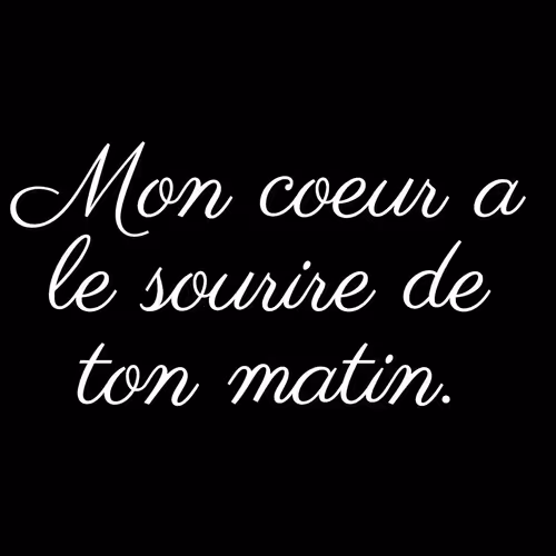 Item #74371741931470645784912528948589980971587939009711764784213724902642581241857 Media