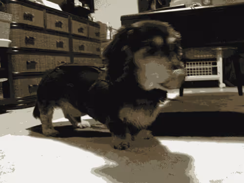 Item #31763483209557281269385879109424211242464800578644497247199877766234645725185 Media