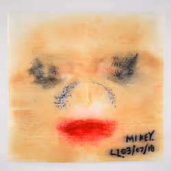 34437631450582783918262521247157200315714719176273242146482300251398056443905