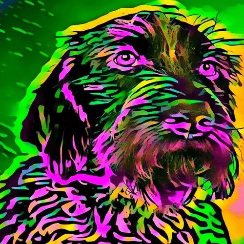 Item #50830097462543580601473563981388698009005024090223633461481089682099274776577 Media