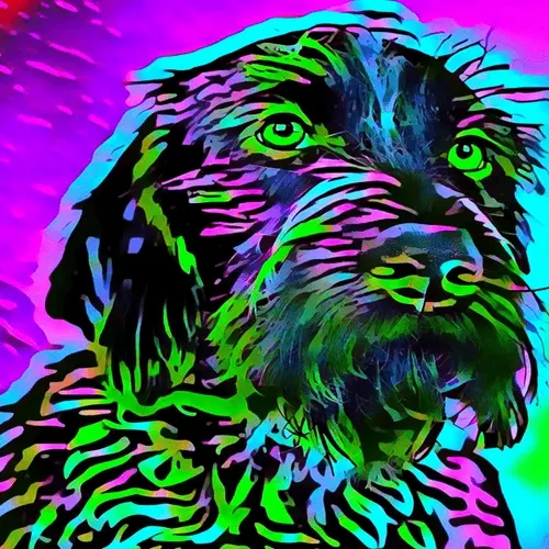 Breeds #109 (Spinone Italiano)