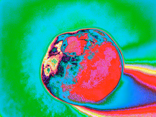 Item #58921648873001727541291667899035918231730626579624698148137299685867775852545 Media