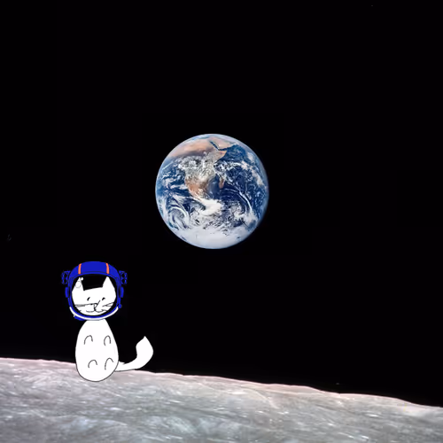 Item #16393495353880146864583935173820122965693367927323411963391718255459464904705 Media