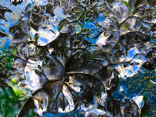 Item #11071991194666046124730794523060237623199268044781053194957188728728898764801 Media