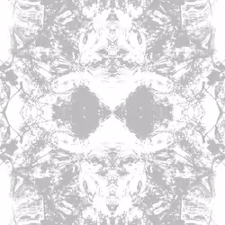 81335810380546067592074661371981709571494442828138360360358581729854171906049