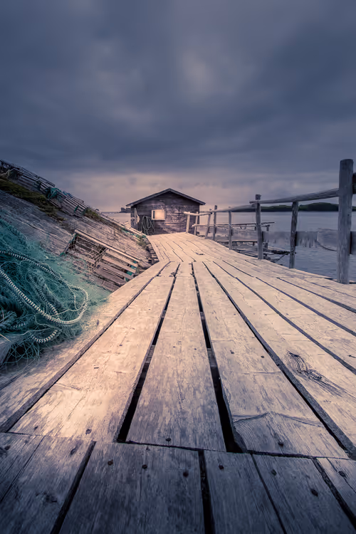 Item #9401445363475959616826929925346071850130199423047290682338619271702881763329 Media