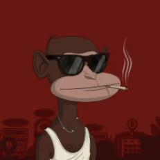 GAMBLING APES #1