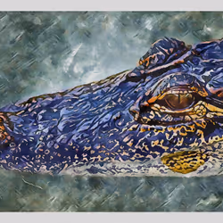 55704534837685659622621715309832868758345944585427688586690141401470203854849