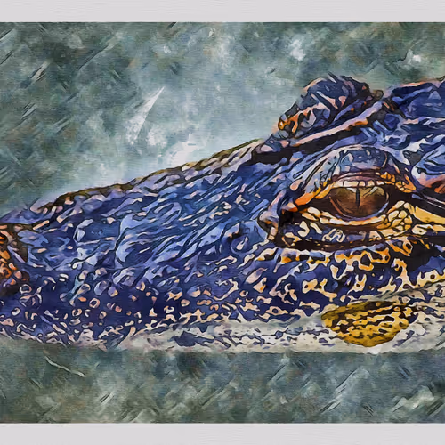 55704534837685659622621715309832868758345944585427688586690141401470203854849