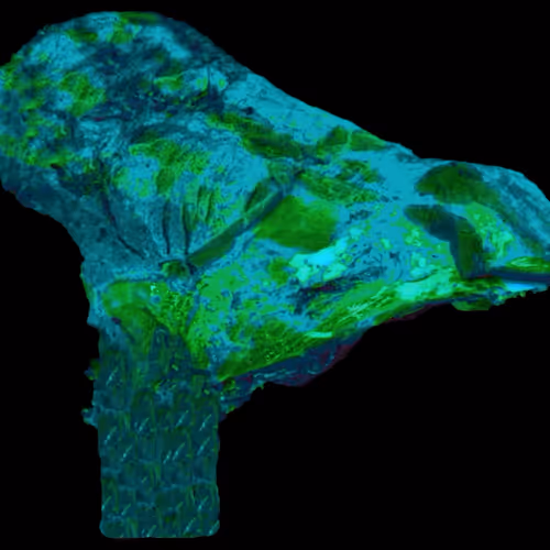 18063966590187803564983313972252836895288362682890717819958697125210115538945