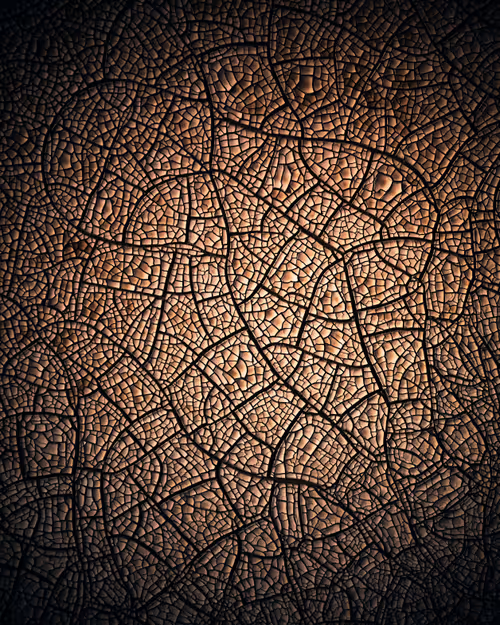 Item #48569969918486252391313193872888082509063999467385227964737452527758822342657 Media