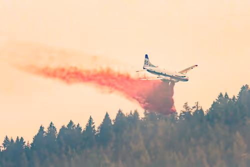 Item #55396979496544417469792883121952566872796951856674190010796140028047885598721 Media