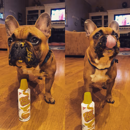 Item #42609404100416917612911281865588665806554825324658305223072319945925915049985 Media