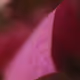 67523008774358720259911235362963655602308790387359326791278502505702834044933