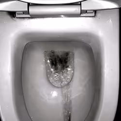 12660136923828748263426703316480839463053827608546839420335324299989295824897