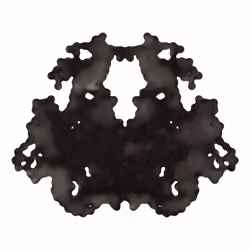 CryptoBlot #342