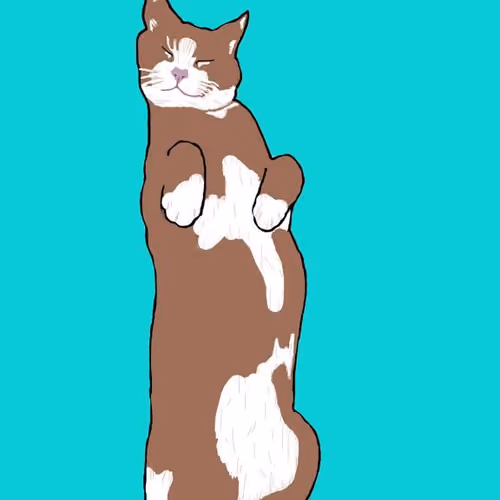 BoredCat3.0